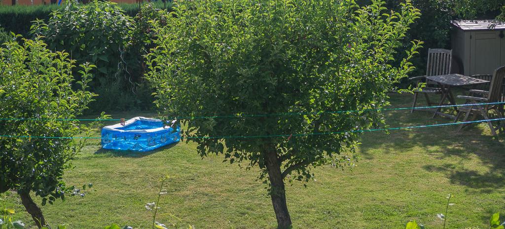 Ferienwohnung Am Elberadweg Dresden Rom bilde